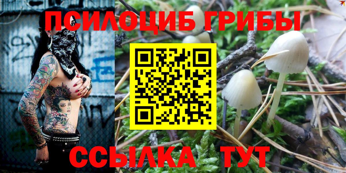 Псилоцибиновые грибы GOLDEN TEACHER Севастополь
